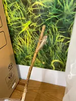 港区立エコプラザの写真・動画_image_589943