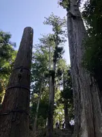 熊野那智大社の写真・動画_image_590441