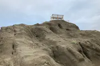 野島崎灯台の写真・動画_image_590852