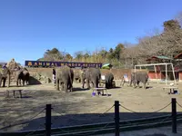 アニマルワンダーリゾウト（市原ぞうの国）の写真・動画_image_591197