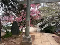 駒込富士神社の写真・動画_image_591322