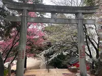 駒込富士神社の写真・動画_image_591323