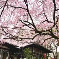 水火天満宮の写真・動画_image_591968