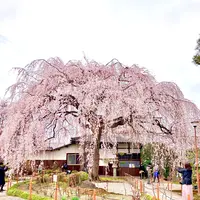 本満寺の写真・動画_image_591970