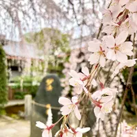 本満寺の写真・動画_image_591972