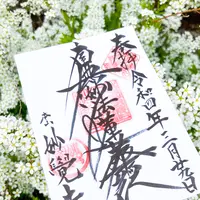 妙覚寺の写真・動画_image_591982