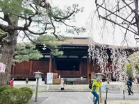 千本釈迦堂（大報恩寺）の写真・動画_image_592060