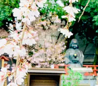 千本釈迦堂（大報恩寺）の写真・動画_image_592062