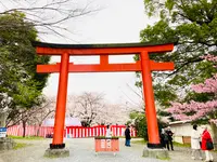 平野神社の写真・動画_image_592077