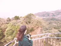 鋸山 日本寺 展望台の写真・動画_image_592188