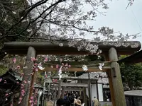 銭洗弁財天 宇賀福神社の写真・動画_image_592209
