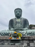 鎌倉大仏（高徳院）の写真・動画_image_592274