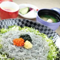 魚華の写真・動画_image_592306
