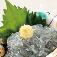 魚華の写真・動画_image_592307