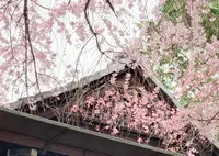 水火天満宮の写真・動画_image_592591