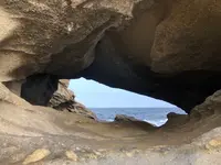 城ヶ島 馬の背洞門の写真・動画_image_592668