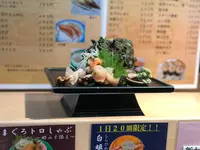 廻転寿司 海鮮の写真・動画_image_592674