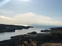 城ケ島の写真・動画_image_592677