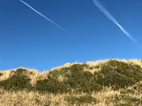 城ケ島の写真・動画_image_592678