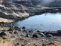 城ケ島の写真・動画_image_592680