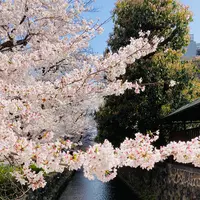 高瀬川一之船入の写真・動画_image_592897