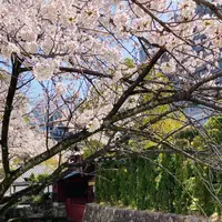 高瀬川一之船入の写真・動画_image_592898