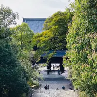 知恩院の写真・動画_image_592899