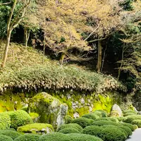 知恩院の写真・動画_image_592902