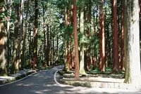 北口本宮冨士浅間神社の写真・動画_image_592932