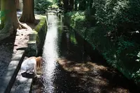 北口本宮冨士浅間神社の写真・動画_image_592936