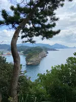 堂ケ島の写真・動画_image_592939