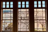 京都府庁 旧本館の写真・動画_image_593162