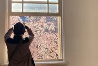 京都府庁 旧本館の写真・動画_image_593166