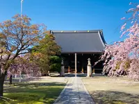 大本山 妙顯寺の写真・動画_image_593170