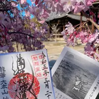 大本山 妙顯寺の写真・動画_image_593171