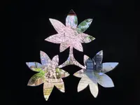 本門法華宗 大本山 妙蓮寺の写真・動画_image_593185