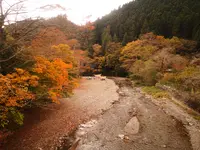 古民家ファミリービレッジ キャンプ/バーベキュー場の写真・動画_image_594142