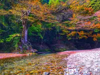 古民家ファミリービレッジ キャンプ/バーベキュー場の写真・動画_image_594143