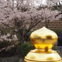 鶴岡八幡宮の写真・動画_image_594367