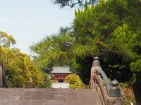 鶴岡八幡宮の写真・動画_image_594371
