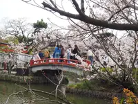 鶴岡八幡宮の写真・動画_image_594372