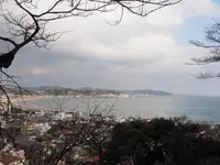 長谷寺の写真・動画_image_594383