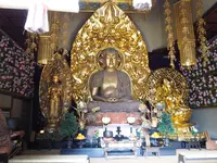 長谷寺の写真・動画_image_594388