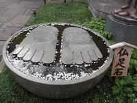 長谷寺の写真・動画_image_594394