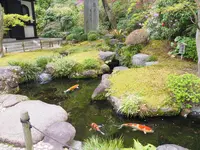 長谷寺の写真・動画_image_594410