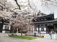 長谷寺の写真・動画_image_594412