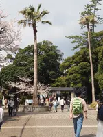 江の島サムエル・コッキング苑の写真・動画_image_594604