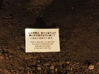 江の島岩屋の写真・動画_image_594636