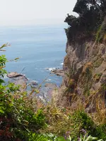 江の島岩屋の写真・動画_image_594647