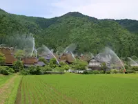 美山かやぶきの里の写真・動画_image_594676